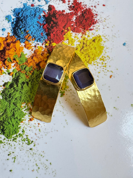 Lange Blaubeer-Schild-Ohrringe