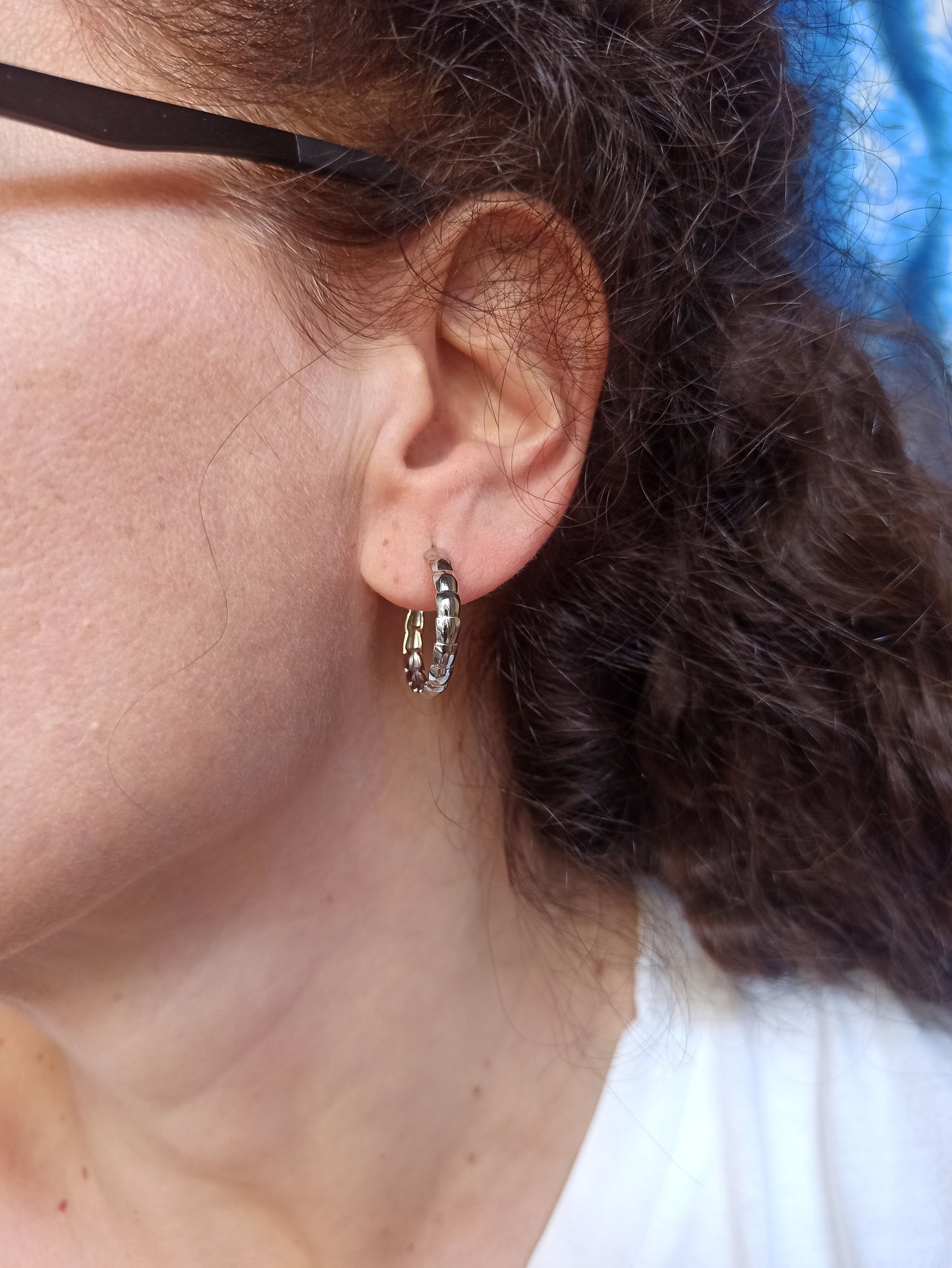 Steel earrings