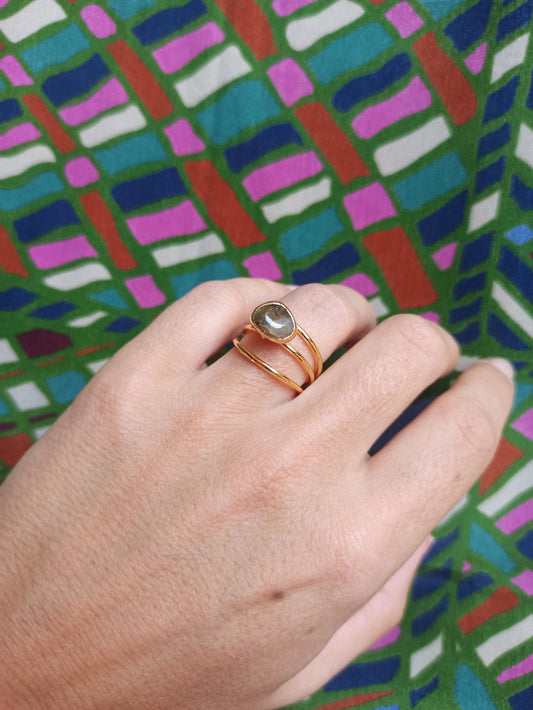 Goldener Schlammring 3