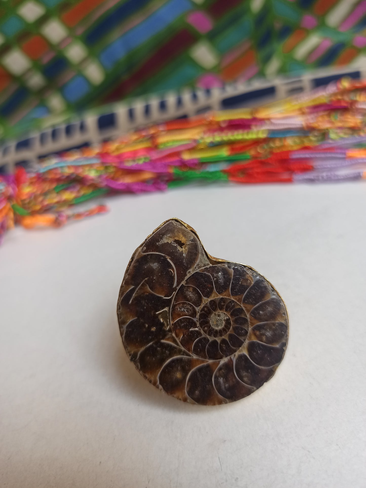 Golden Ammonite ring