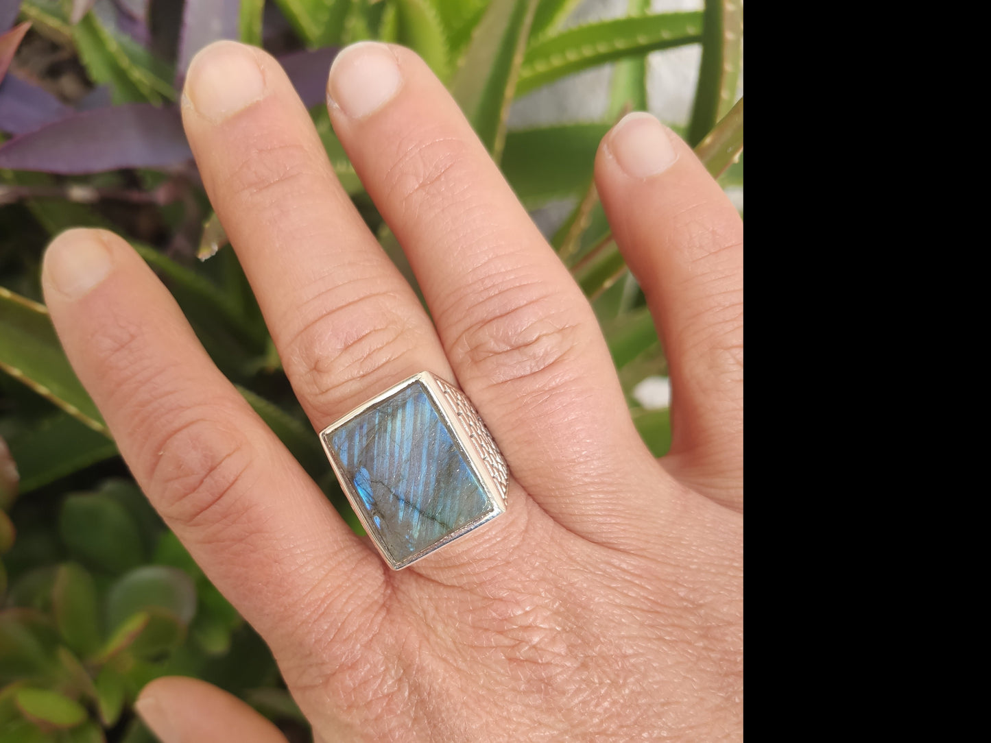 Men's ring 925 silver TURQUOISE U11