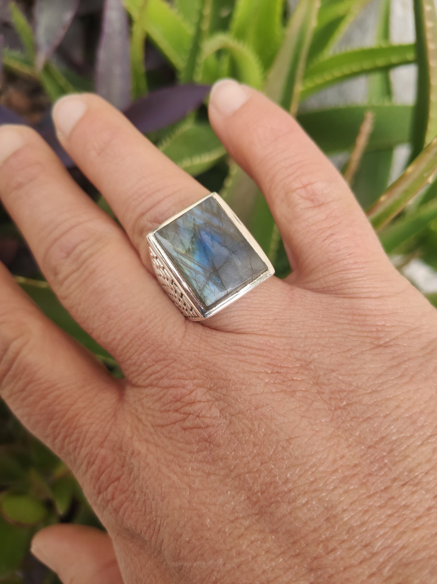 Men's ring 925 silver TURQUOISE U11