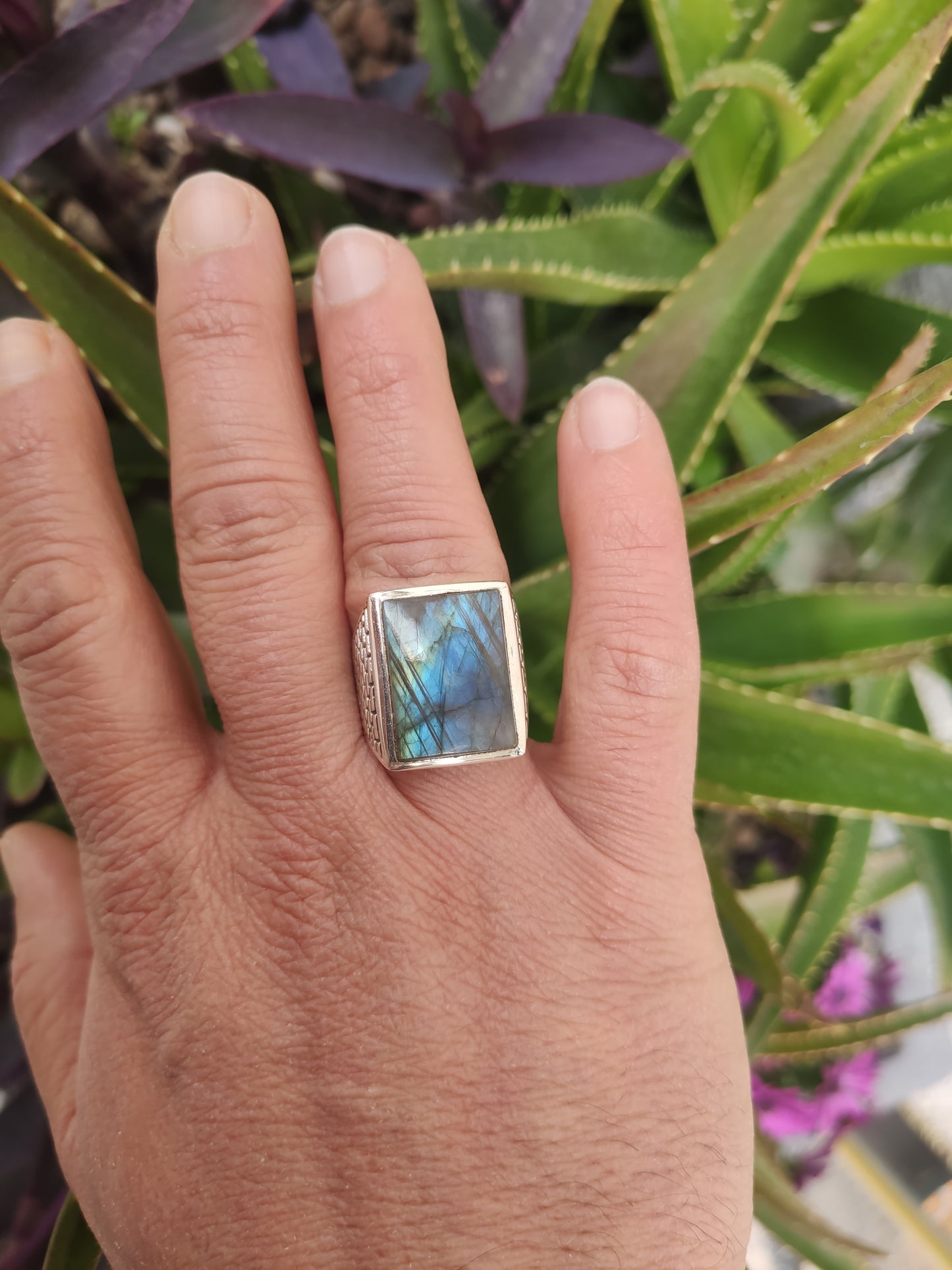 Men's ring 925 silver TURQUOISE U11