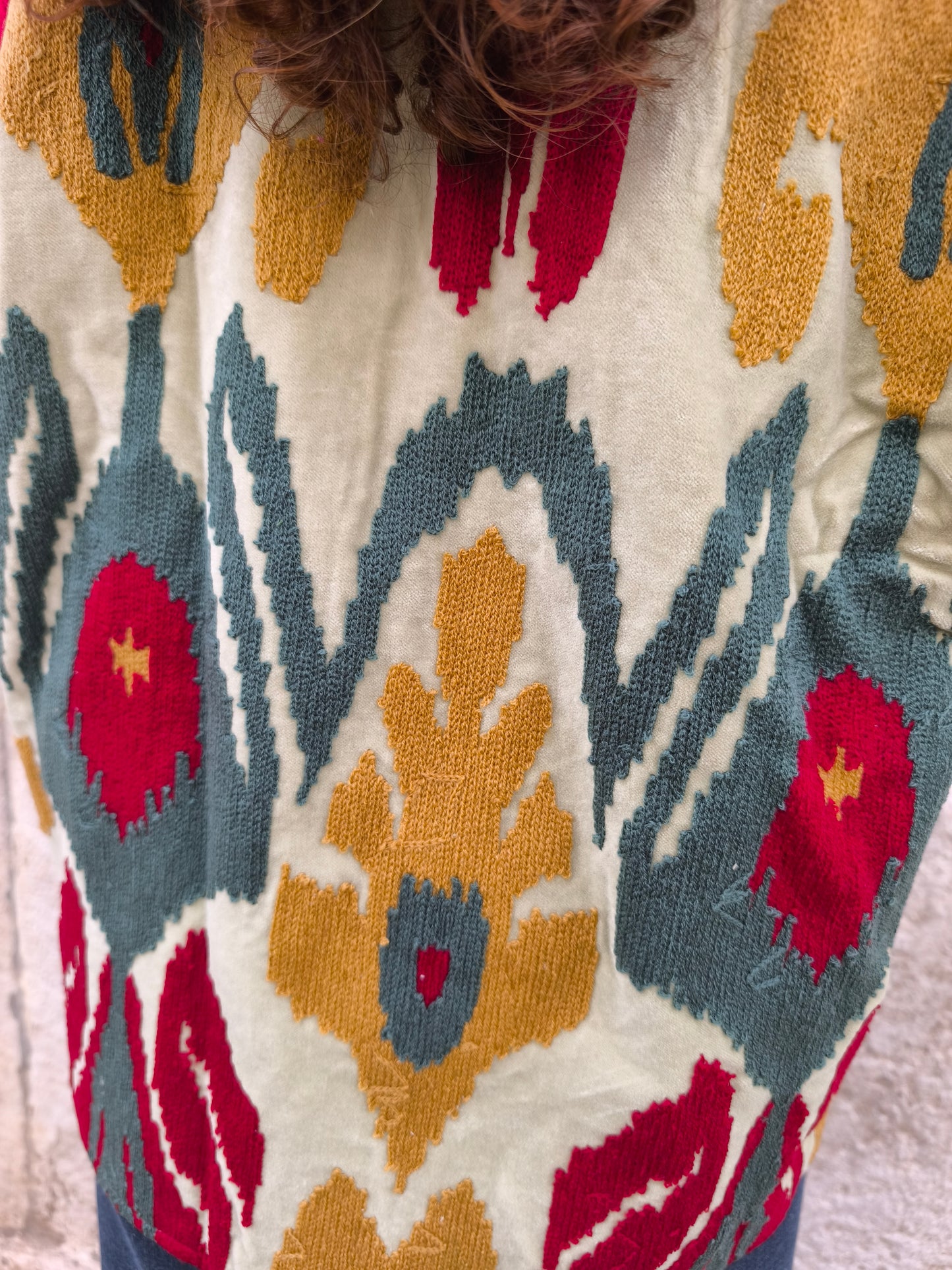 Suzani India Velvet Jacket 24