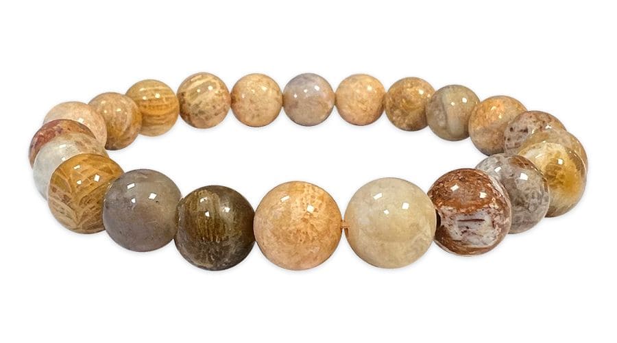 Bracciale elasticizzato pietre dure Corallo perla fossile 6mm