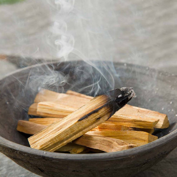 Palo santo 500 grammi legnetti Esoterra – UPANISAD