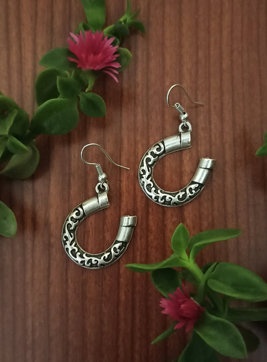 Horseshoe earrings