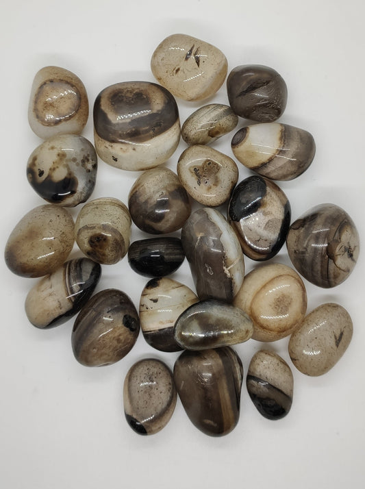 Black Onyx hard tumbled single mineral stone