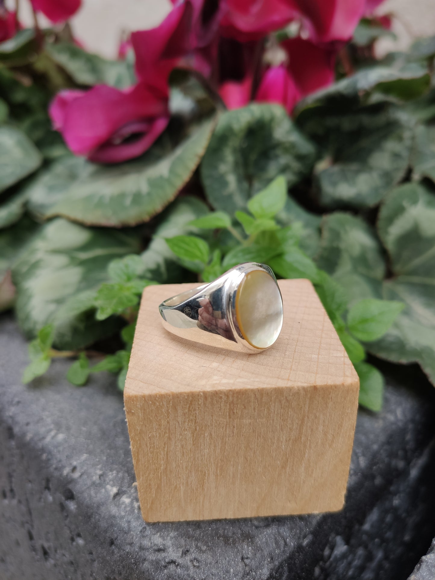 Men's Ring 925 silver MOTHER OF PEARL U4