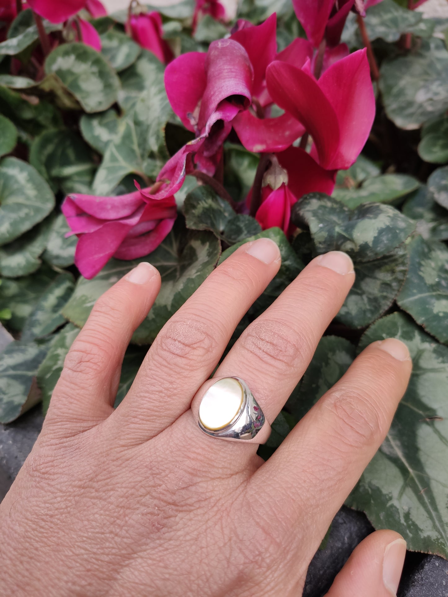 Men's Ring 925 silver MOTHER OF PEARL U4